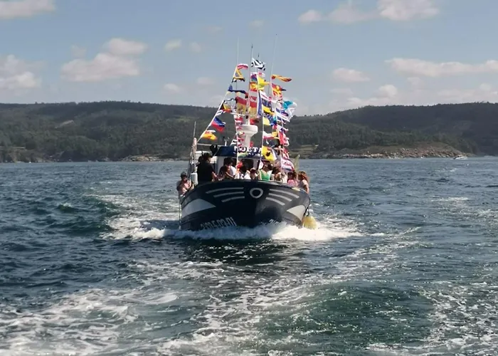 Eli Sardiñeiro de Abajo